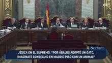Jésica en el Supremo: "Por Ábalos adopté un gato, imagínate conseguir en Madrid piso con un animal"
