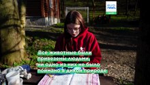 «Жизнь продолжается»: украинцы находят утешение, отпуская спасённых из войны редких летучих мышей