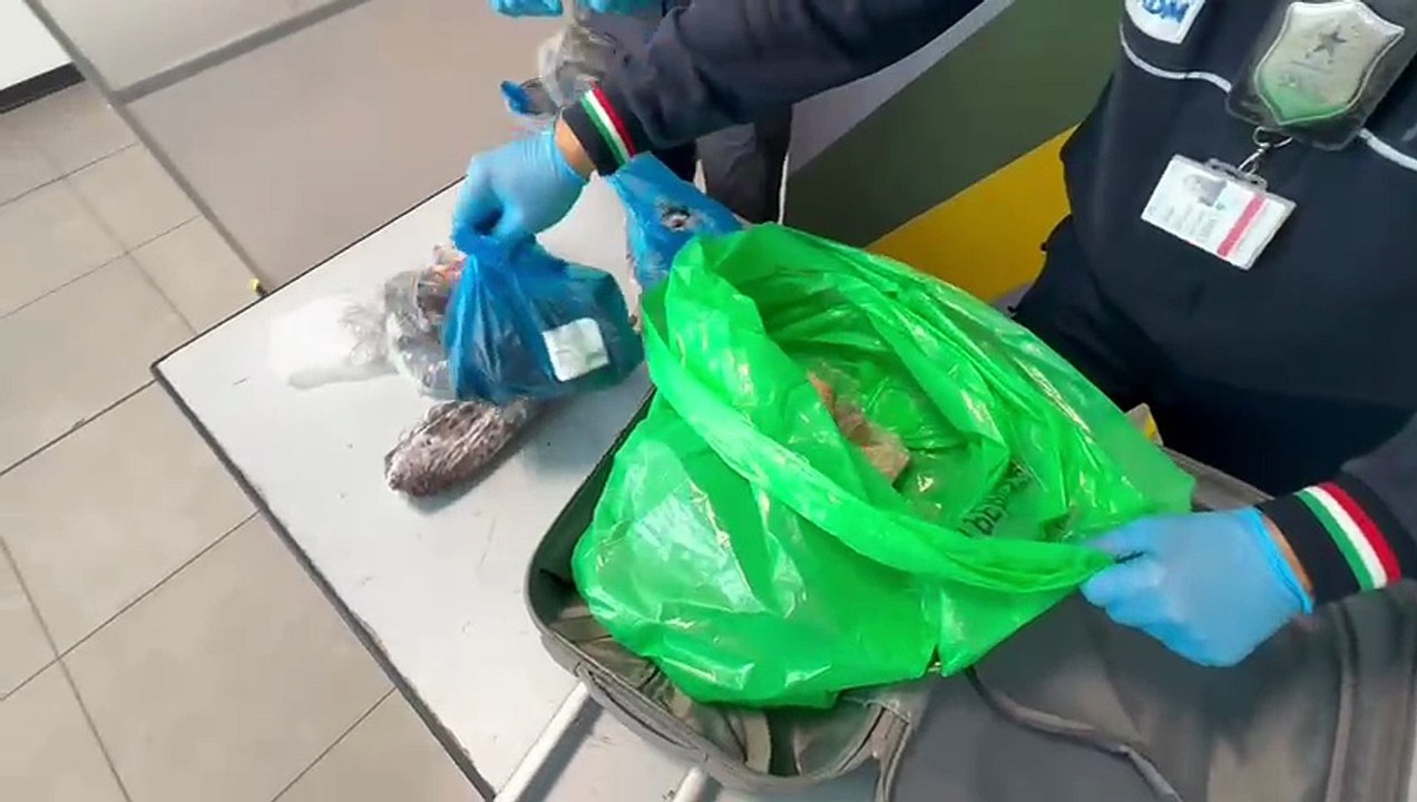 Carne, frutta e formaggi, sequestro di prodotti non sicuro all'aeroporto di Palermo