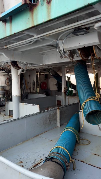 🌻Nature , Ocean and Fishing #fishinglife#ocean