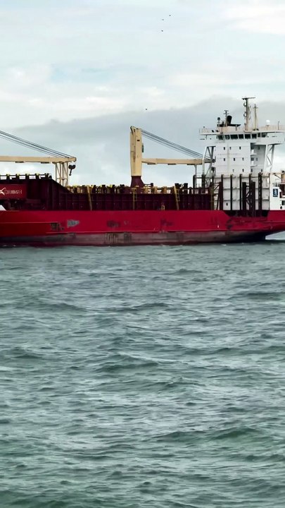 🌻Nature , Ocean and Fishing #oceanlife#ocean