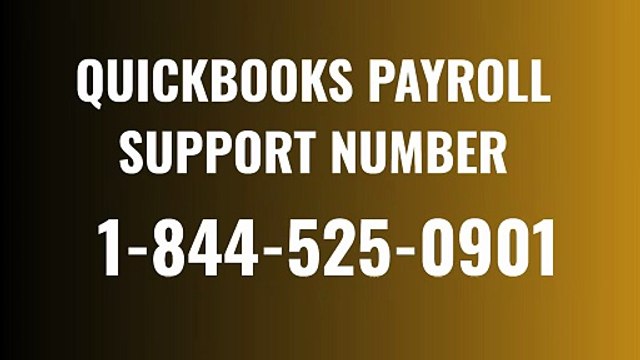 How to Speak with [[*QBP]] of QuickBooks Payroll Service Toll Free Support Numbers