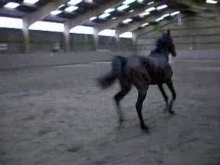 1ère sortie de qalex à thiefosse