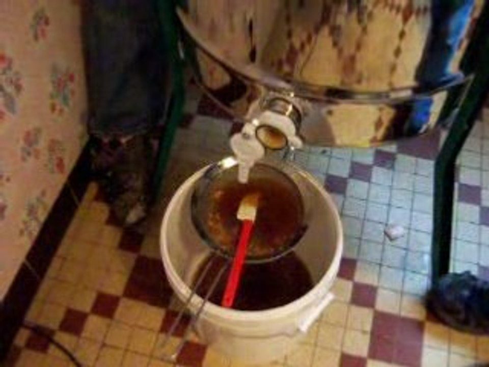 extracttion du miel