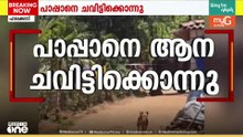 പാലക്കാട് കോങ്ങാട് ക്ഷേത്രത്തിലെ ഉത്സവത്തിനിടെ ഇടഞ്ഞ ആന പാപ്പാനെ ചവിട്ടികൊന്നു