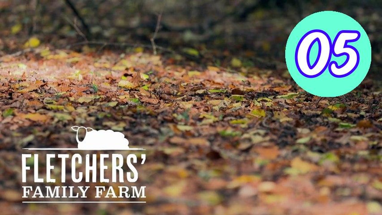 fletchers family farm s04e05 Episode 5 Engsub