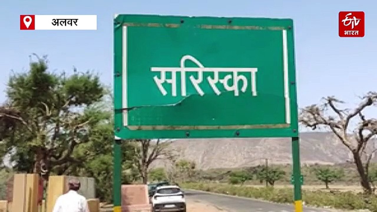 'अर्ली वॉर्निंग सिस्टम' : सरिस्का में आग पर समय...