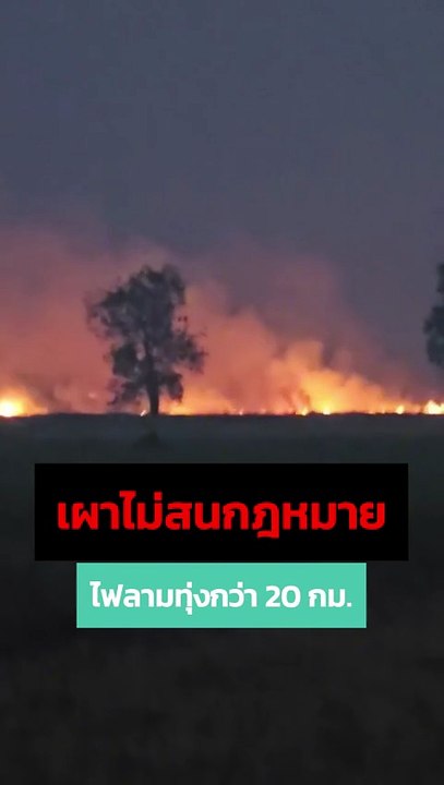 ยังฝ่าผืน ! เกษตรเผาที่นาไม่สนกฎหมาย จุดไฟลามกว่า 20 กม.