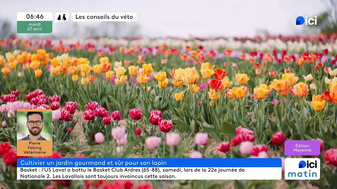 07/04/2026 - ici matin par ici Mayenne en vidéo