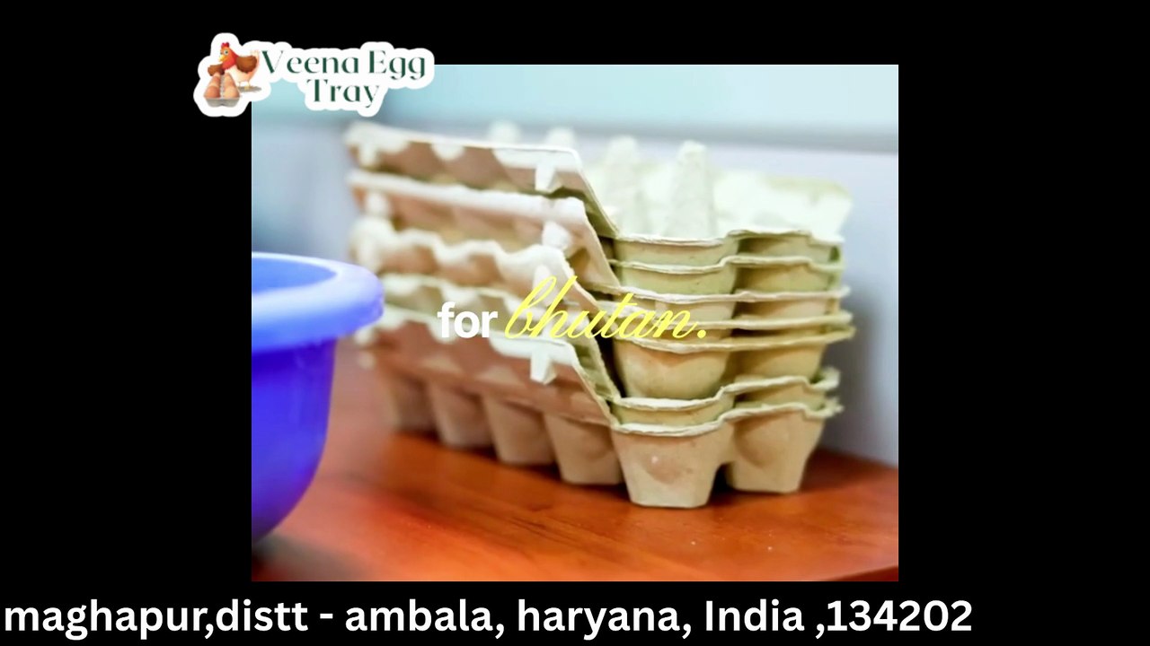 Best Egg Tray Supplier in Bhutan | Veena Egg Tray | Strong & Eco-Friendly Packaging