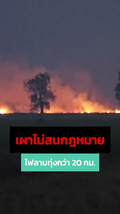 มักง่ายกลับรถ หักเลี้ยวตัดหน้าทางตรงชนโครม