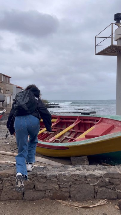 TERRA TERRA - le projet