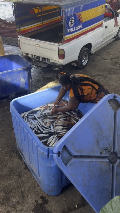 Le thème de ma residence !