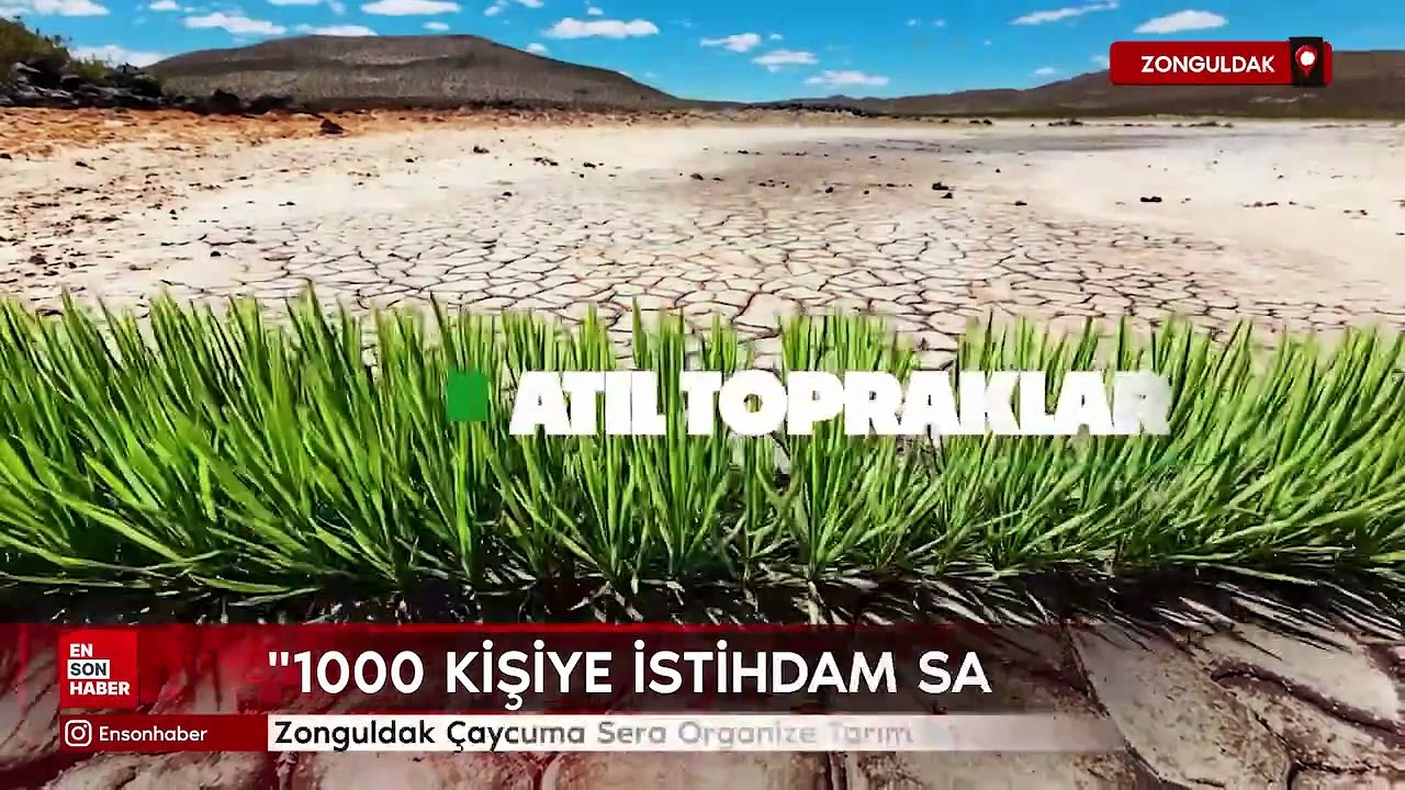 Zonguldak Çaycuma Sera Organize Tarım Bölgesi üretime başladı