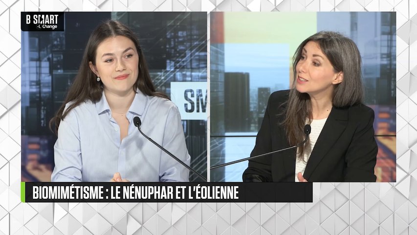 Biomimétisme : le nénuphar et l'éolienne