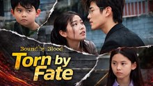 Bound By Blood, Torn By Fate 2026