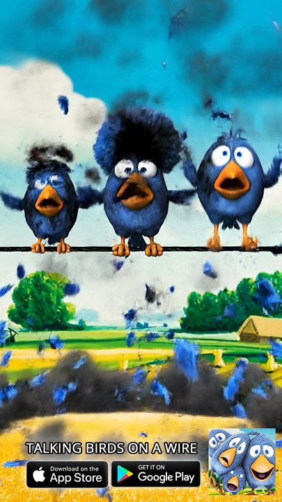 Robot feeder gone WRONG! 🤖💥😂 Talking Birds On A Wire Game