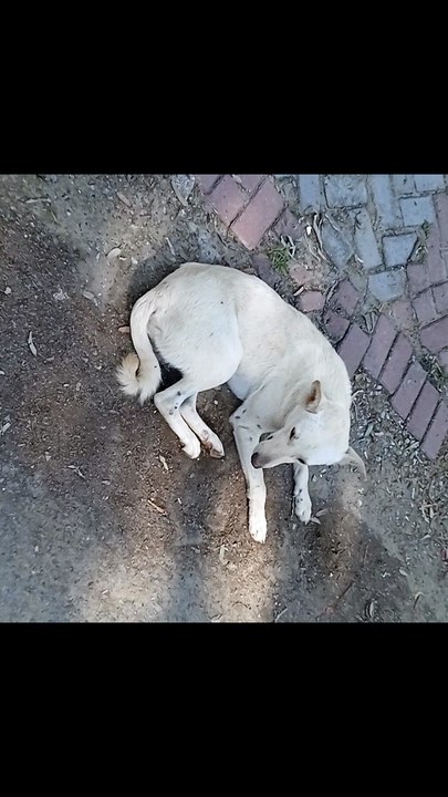 VID_20260405_151347