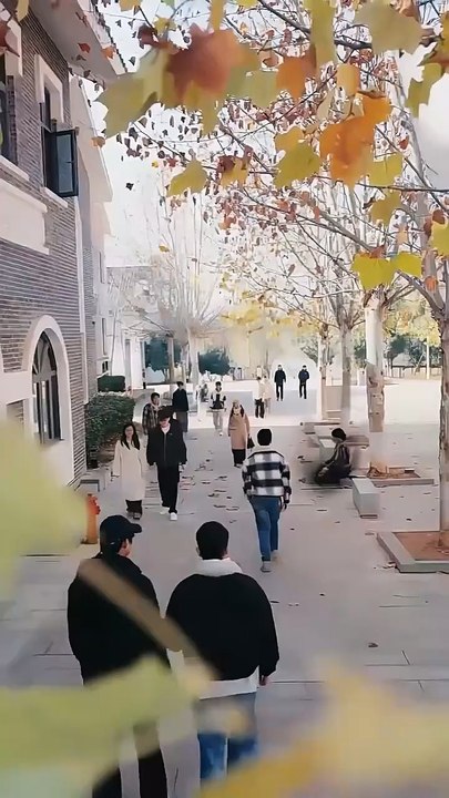 La furia del mendigo invencible - Película Full HD [Doblado ESP] | Ver hasta el final