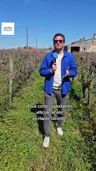 Un château viticole en Gironde réclame 1,5 million d'euros à la collectivité