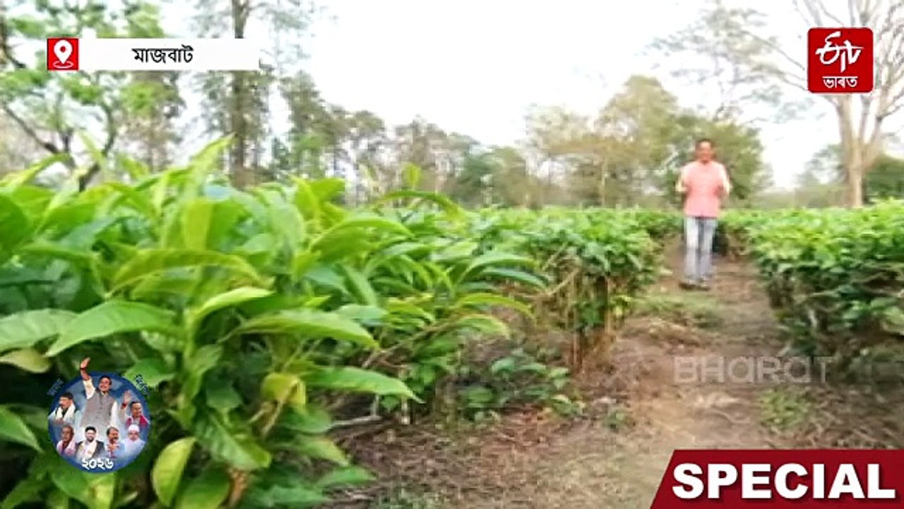অসম বিধানসভা নিৰ্বাচন ২০২৬ : মজুৰি, ভূমিপট্টা আ...