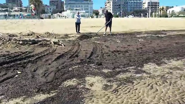 Image from field_mediaid