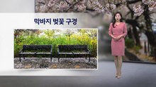 [이슈날씨] 막바지 벚꽃 구경...모레 또 전국 비 / YTN