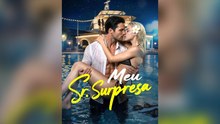 Meu Sr. Surpresa Legenda PortuguêS