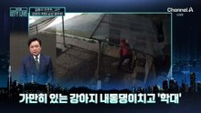 [김종석의 리포트]“빨간 점퍼 이 남자 찾아요”…강아지 던지고 학대