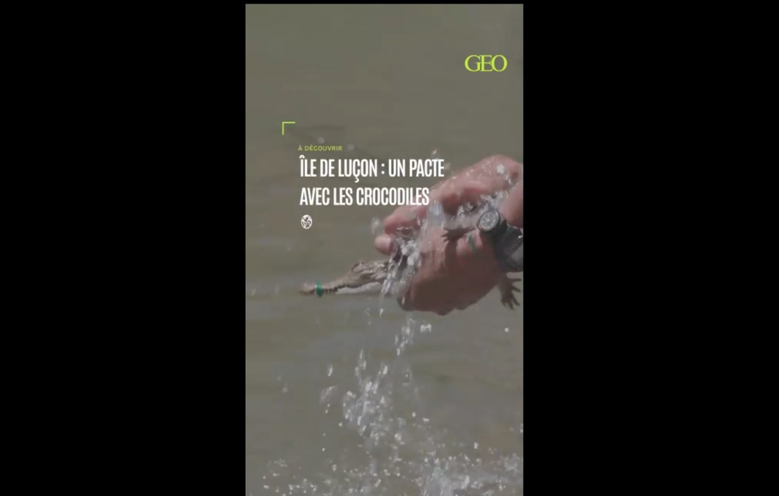 La sauvegarde des crocodiles des Philippines que l'on pensait disparus