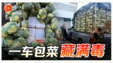 一车包菜藏1.6吨毒品 泰警：疑贩运自邻国