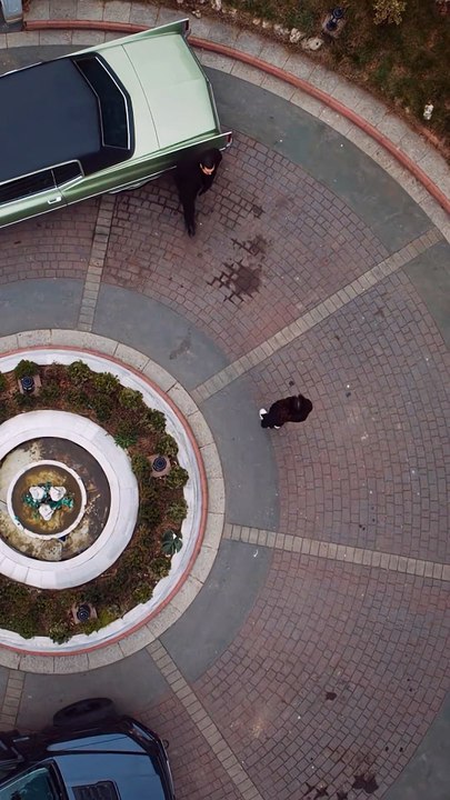 Eşref, Nisan'ın Rüya Olduğunu Öğrendi Eşref Rüya #shorts