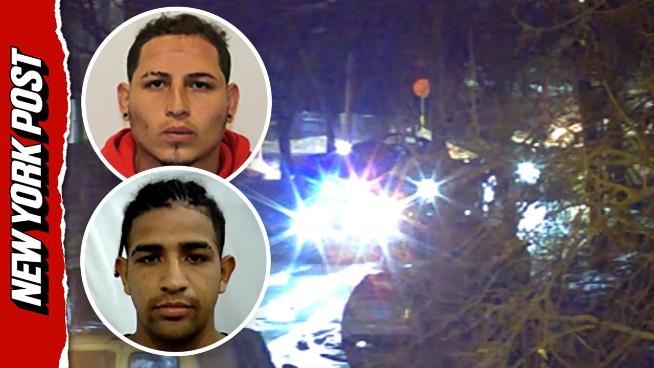 Watch: Footage contradicts ICE officers' statement of migrant shooting