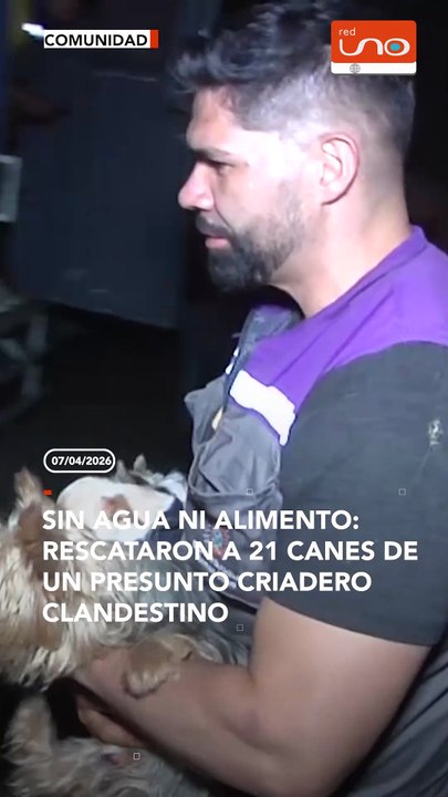 Sin agua ni alimento: rescataron a 21 canes de un presunto criadero clandestino
