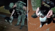 Ukrainian troops fly cat and dog more than seven miles by drone to evacuate them from front line