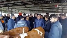 Bolu'da kurban pazarlarında hareketlilik başladı