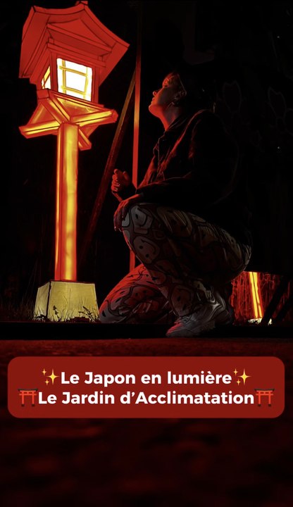 ⛩️ Est-ce que tu es déjà allé au Japon ?