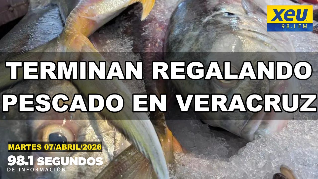 Terminan regalando pescado en Veracruz