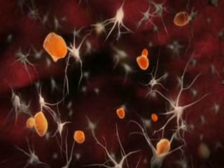 3D Animation | Super Cell Documentary | Mediafreaks