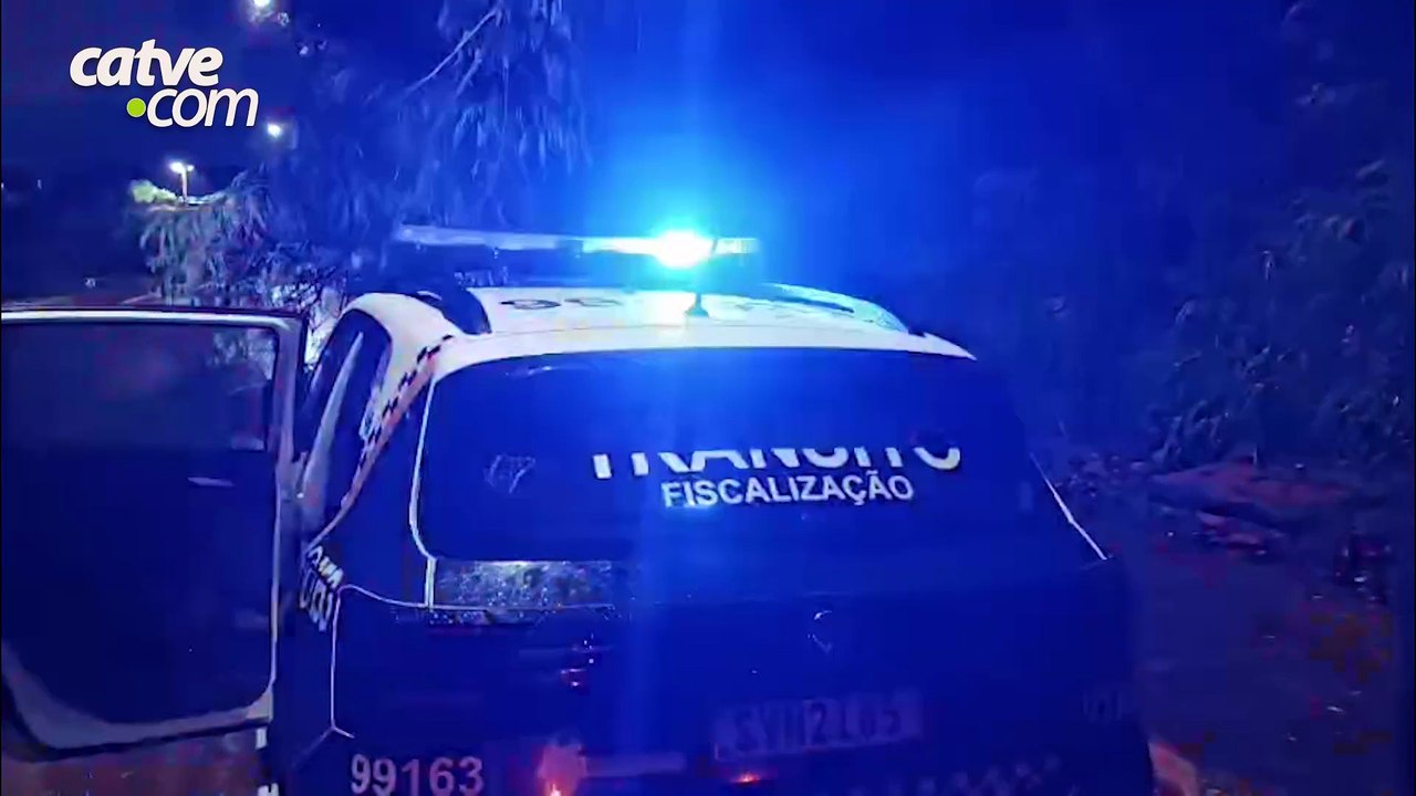 Árvore derruba poste e deixa rua interditada em Toledo; motociclista bate em galhos em outro ponto