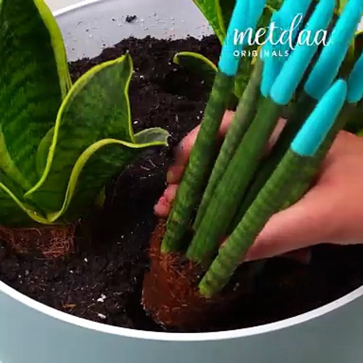 Digging deep into gardening hacks 🌿