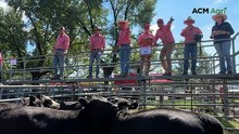 Tumut store sale - April 8, 2026