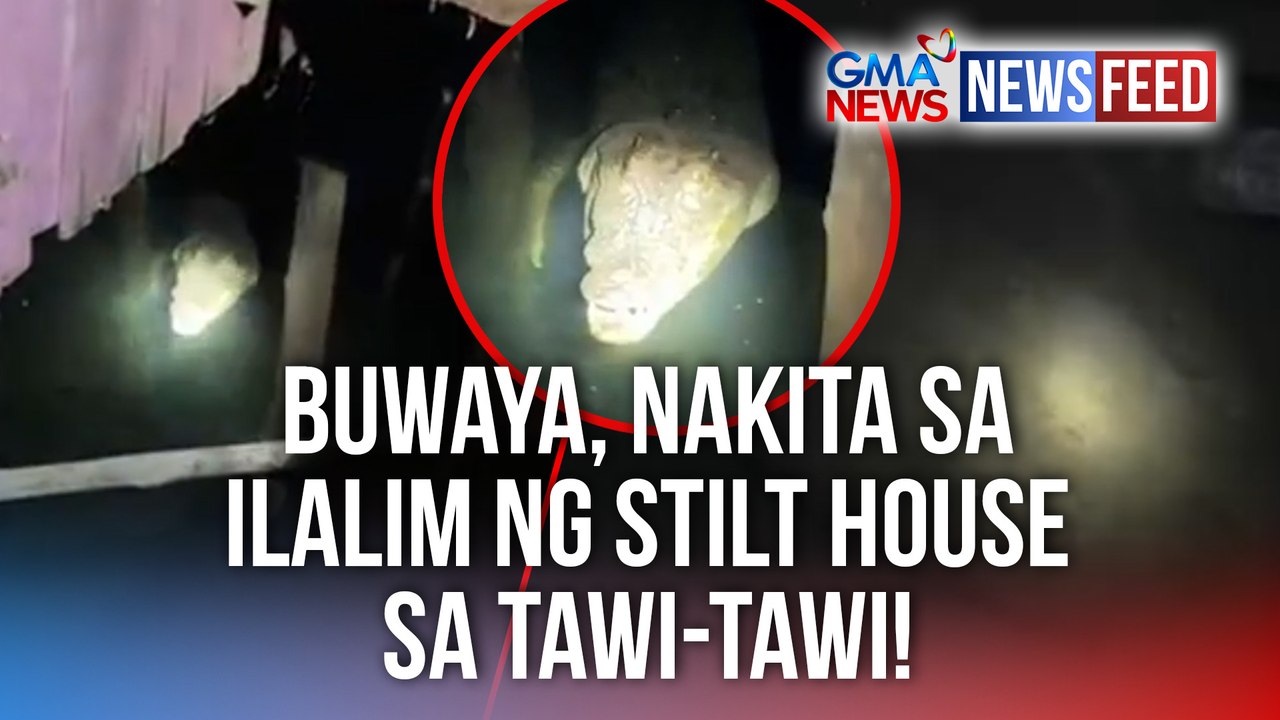 Buwaya, nakita sa ilalim ng stilt house sa Tawi-Tawi! | GMA News Feed