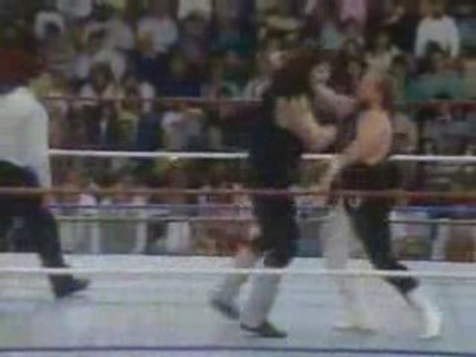 The Undertaker Vs Terry Davis