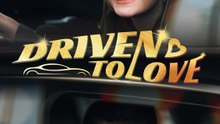 Driven to Love EngSub #dramashorts