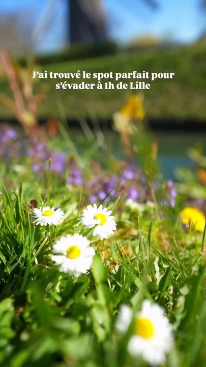 Au milieu de la nature et de plus de 300 espèces d’oiseaux, le Marais Audomarois est un poumon de la biodiversité du Pas-de-Calais, et une richesse écologique que tu peux explorer en barque à Saint-Omer#saintomer #pasdecalais #hautsdefrance #nablezon