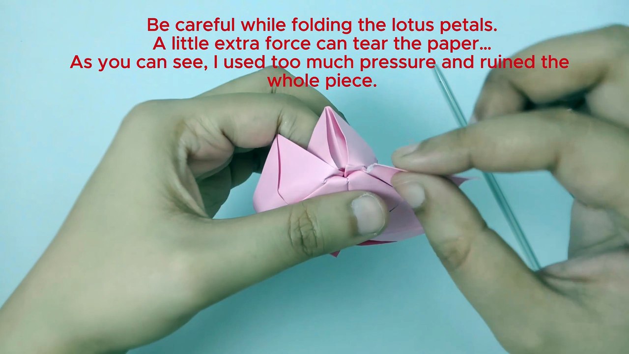 Not just a fold… a quiet bloom from chaos