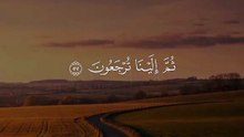 كل نفس ذائقة الموت 🤍🕊 #قران #quran #قران_كريم #Allah #اللهم_صلي_على_نبينا_محمد