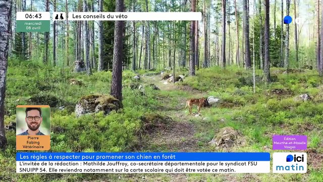 08/04/2026 - ici matin par Ici Lorraine (Meurthe-et-Moselle et Vosges) en vidéo