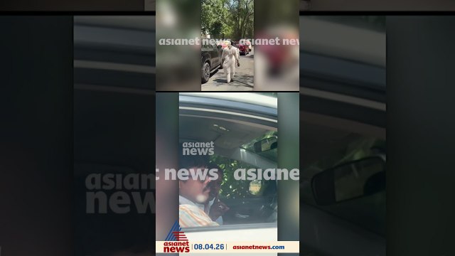 പാലക്കാട് ബിജെപി വോട്ടര്‍മാര്‍ക്ക് പണം നല്‍കുന്നുവെന്ന് ആരോപണം; ദൃശ്യങ്ങള്‍ പുറത്ത്
